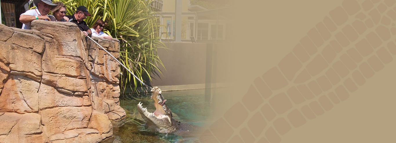 Crocosaurus Cove photo 1