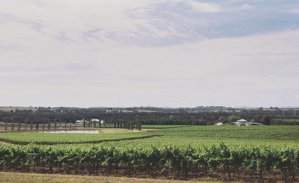 Estate Tuscany photo 6