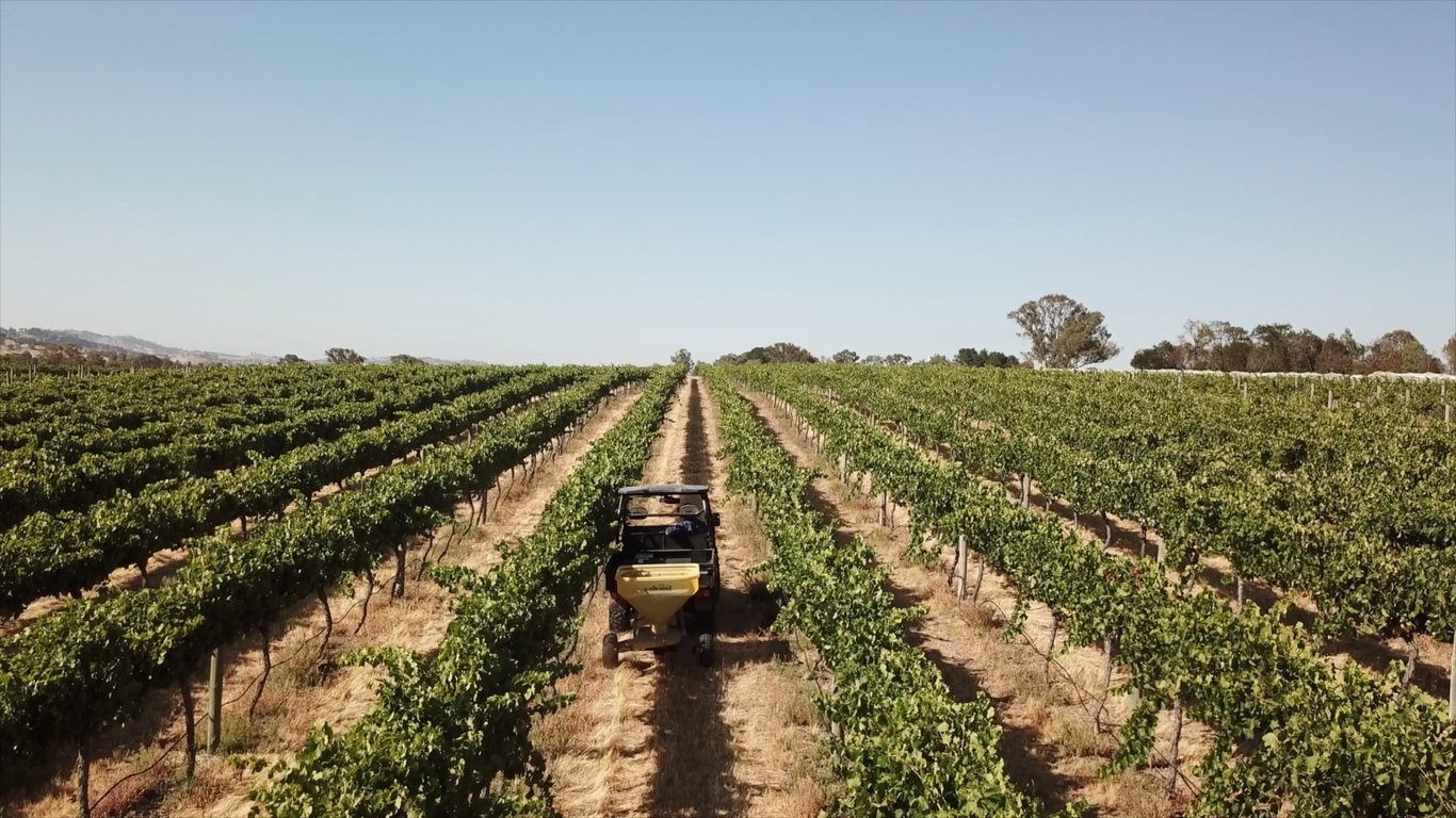 Four Winds Vineyard photo 1