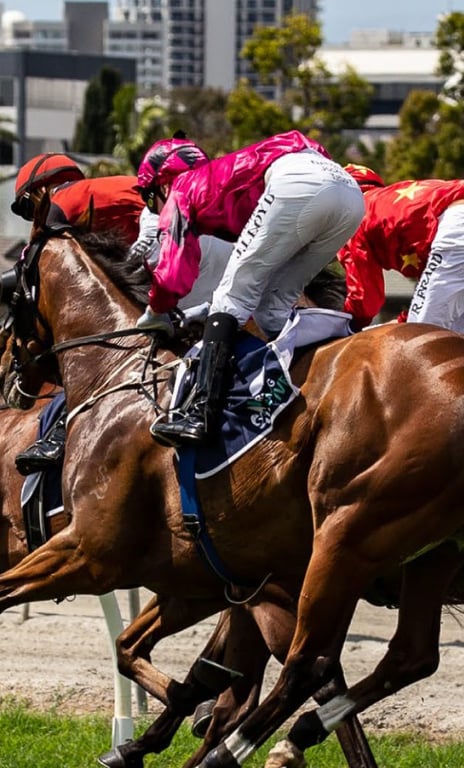 Gold Coast Turf Club photo 1