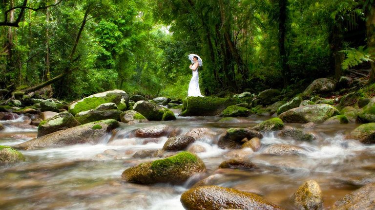 Misty Mountains Rainforest Retreat photo 3