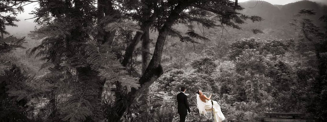 Misty Mountains Rainforest Retreat photo 4