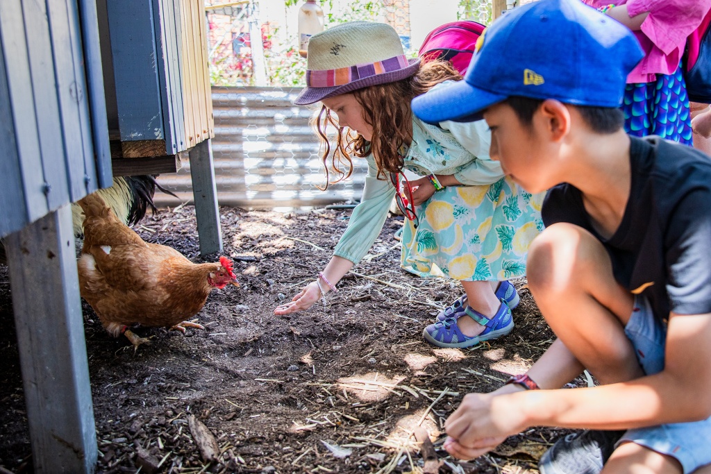 Perth City Farm photo 3