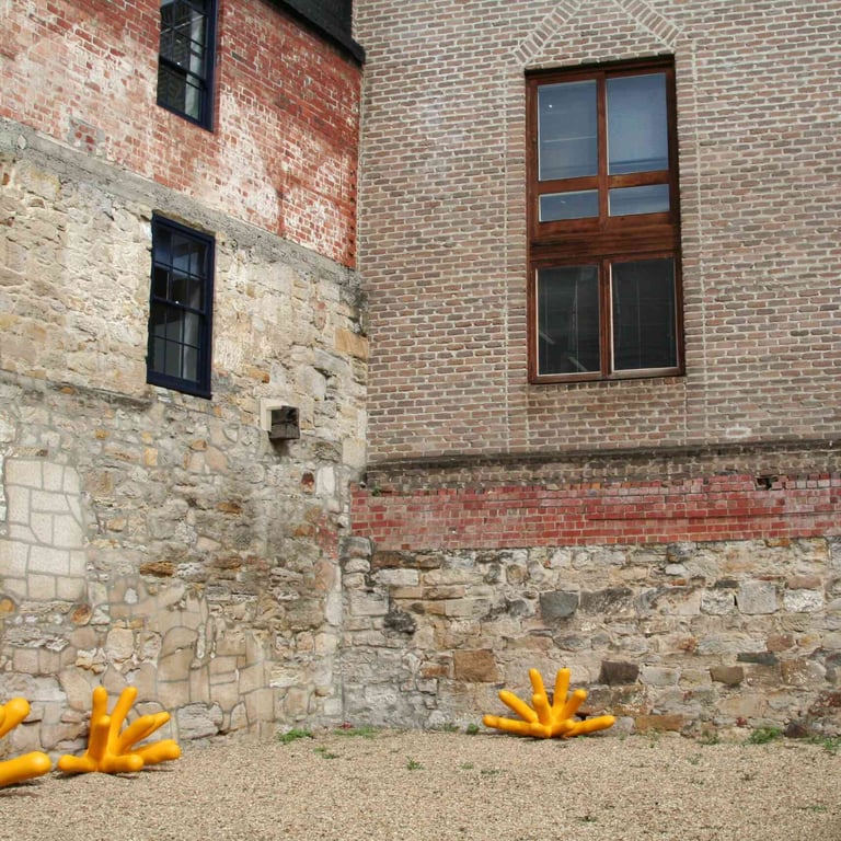 Salamanca Arts Centre photo 4