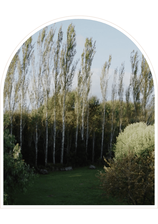 Tailrace Centre photo 1