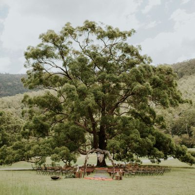 The Gold Coast Farm House photo 1