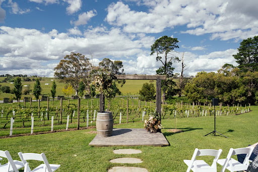 The Little Vineyard photo 11